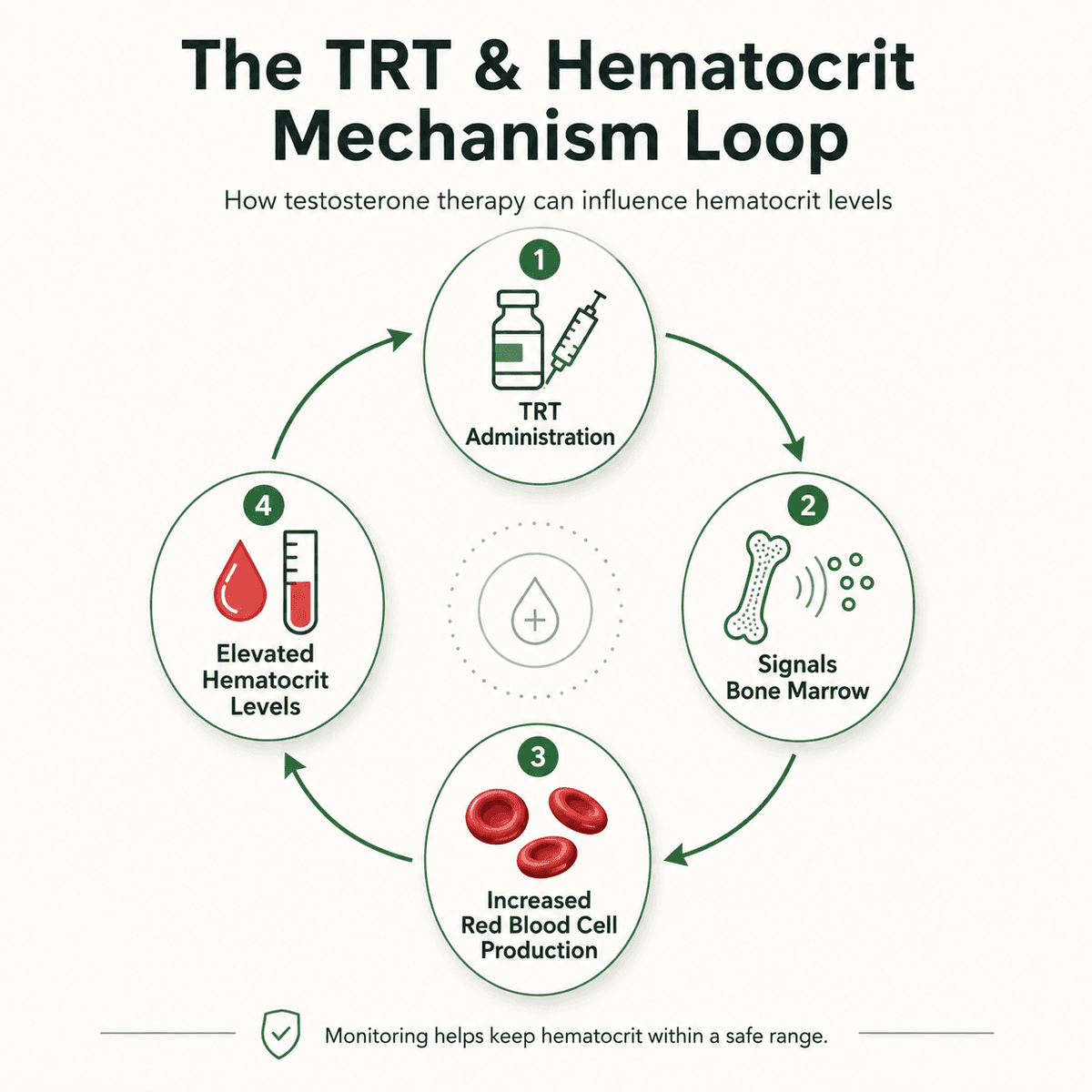 TRT & Hematocrit Mechanism Loop
