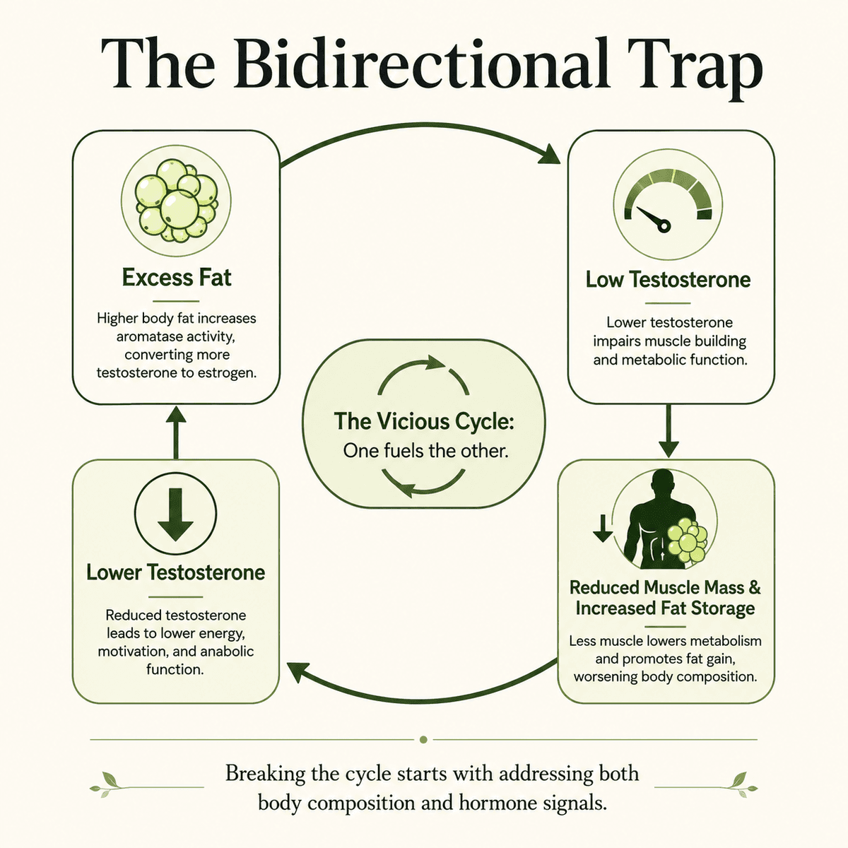 Bidirectional Trap Loop
