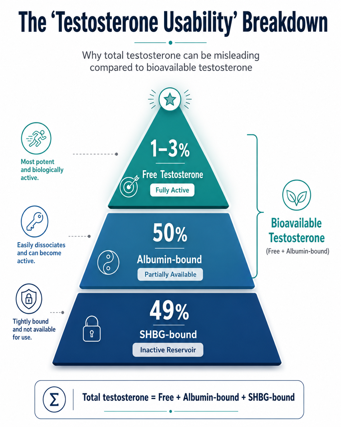 testosterone usability breakdown