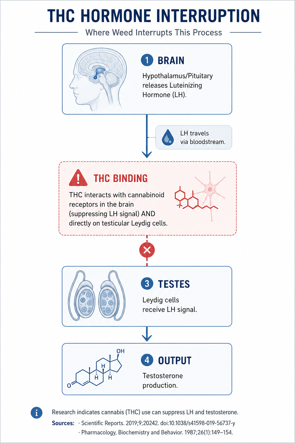 thc hormone interruption