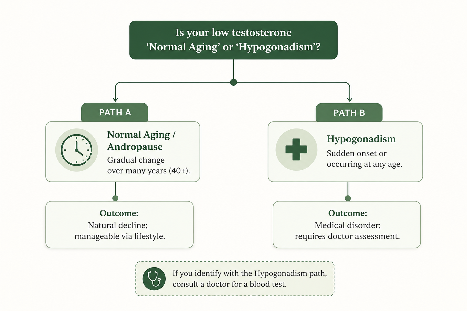 Why Testosterone Declines With Age