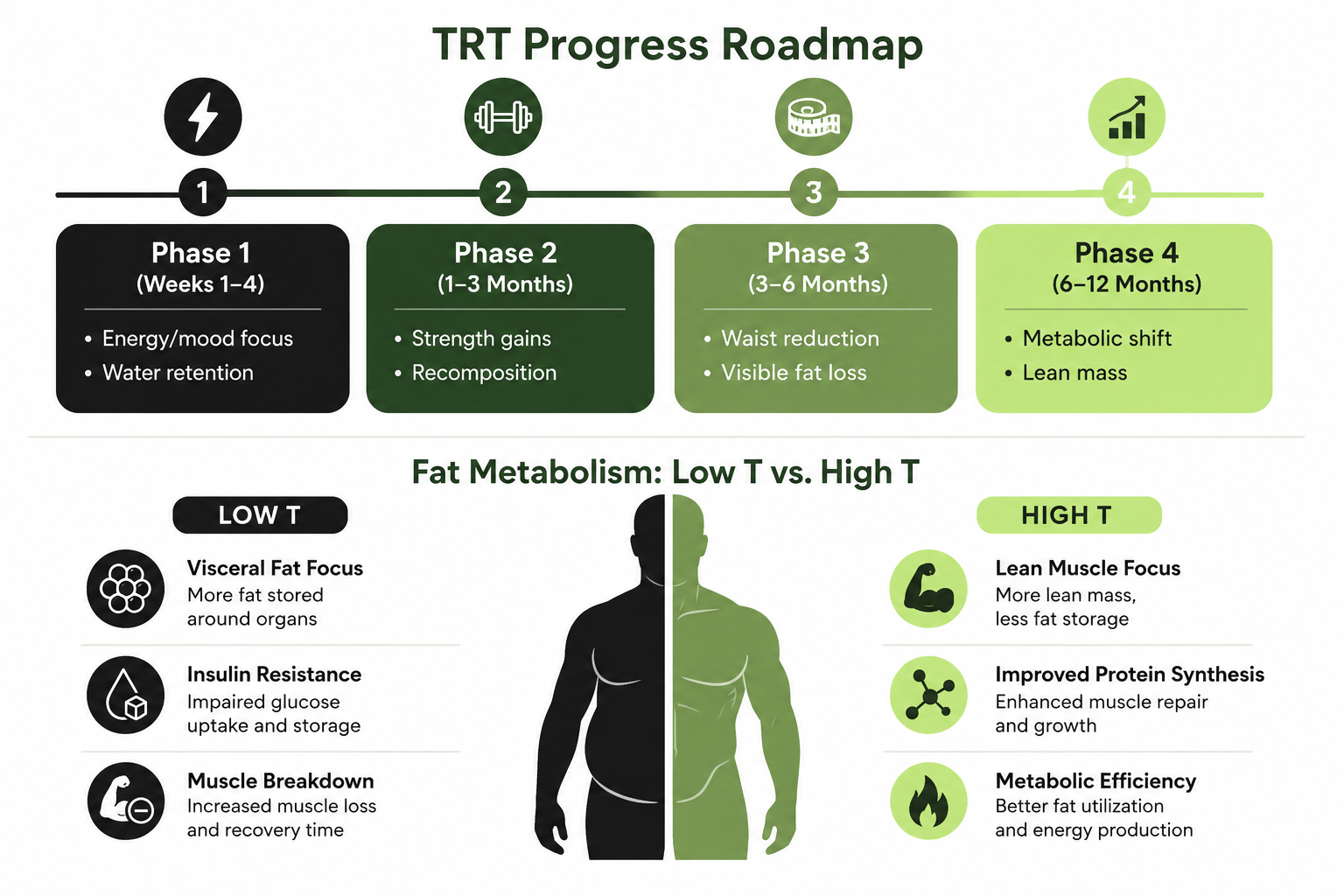 Fat Metabolism Contrast Diagram