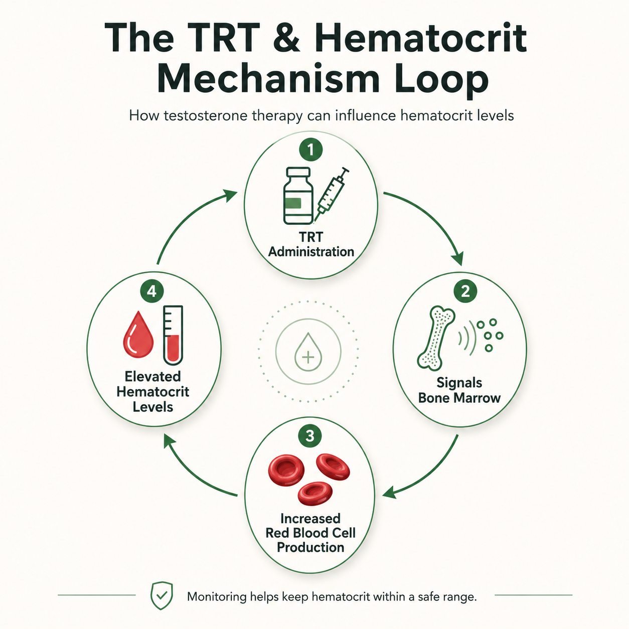 TRT & Hematocrit Mechanism Loop