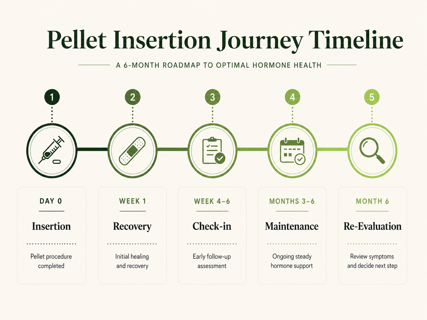 Pellet Insertion Journey Timeline