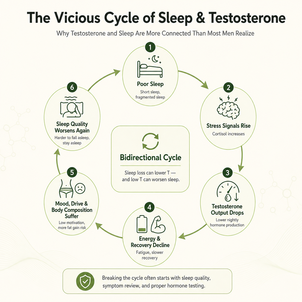 Vicious Cycle of Sleep & Testosterone