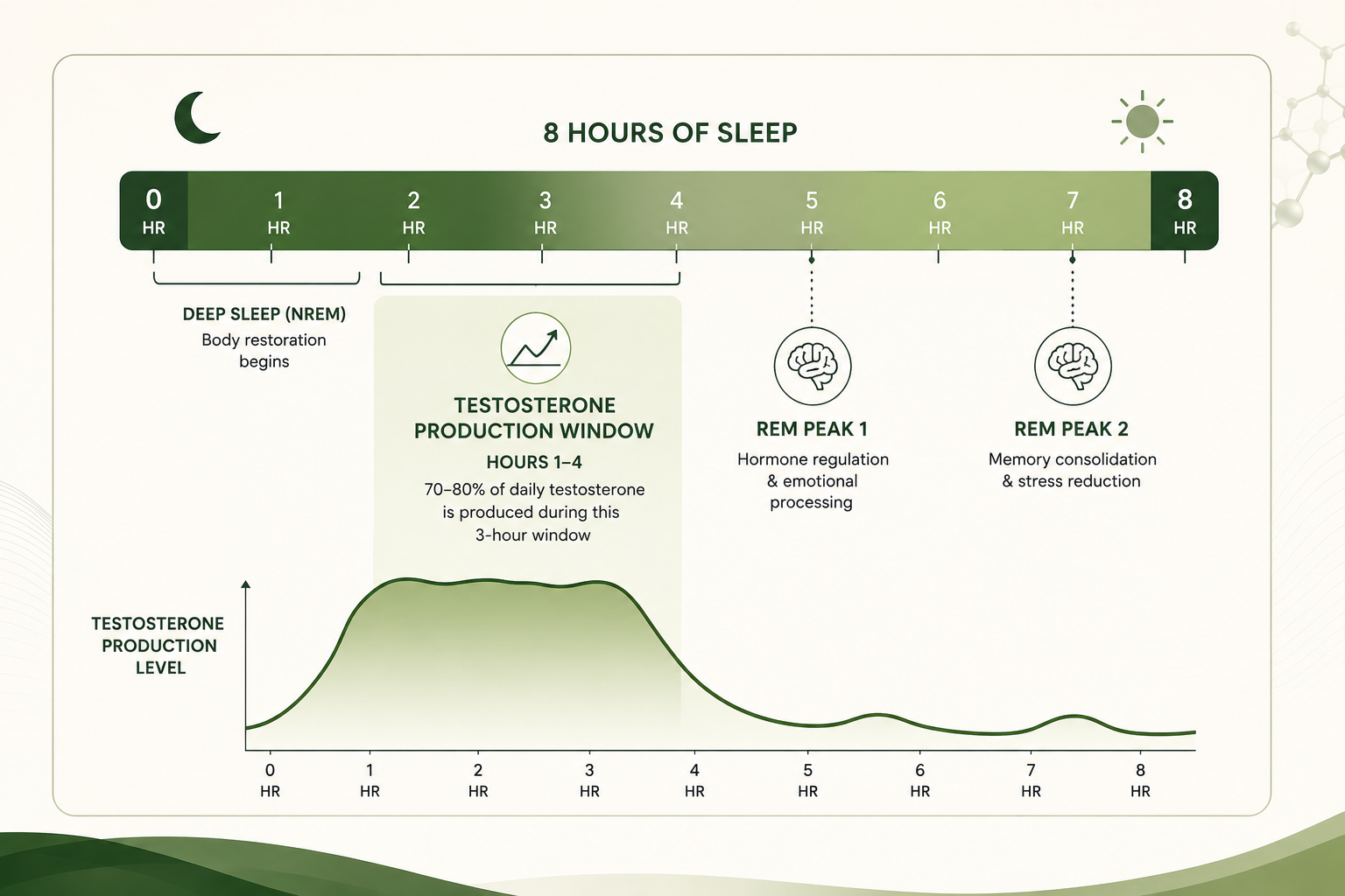 Production Window' Timeline
