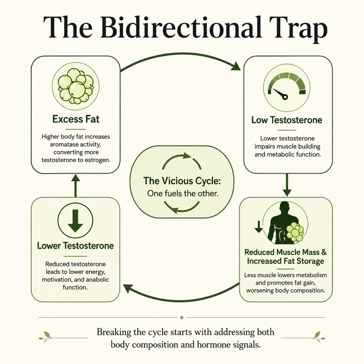 Bidirectional Trap Loop