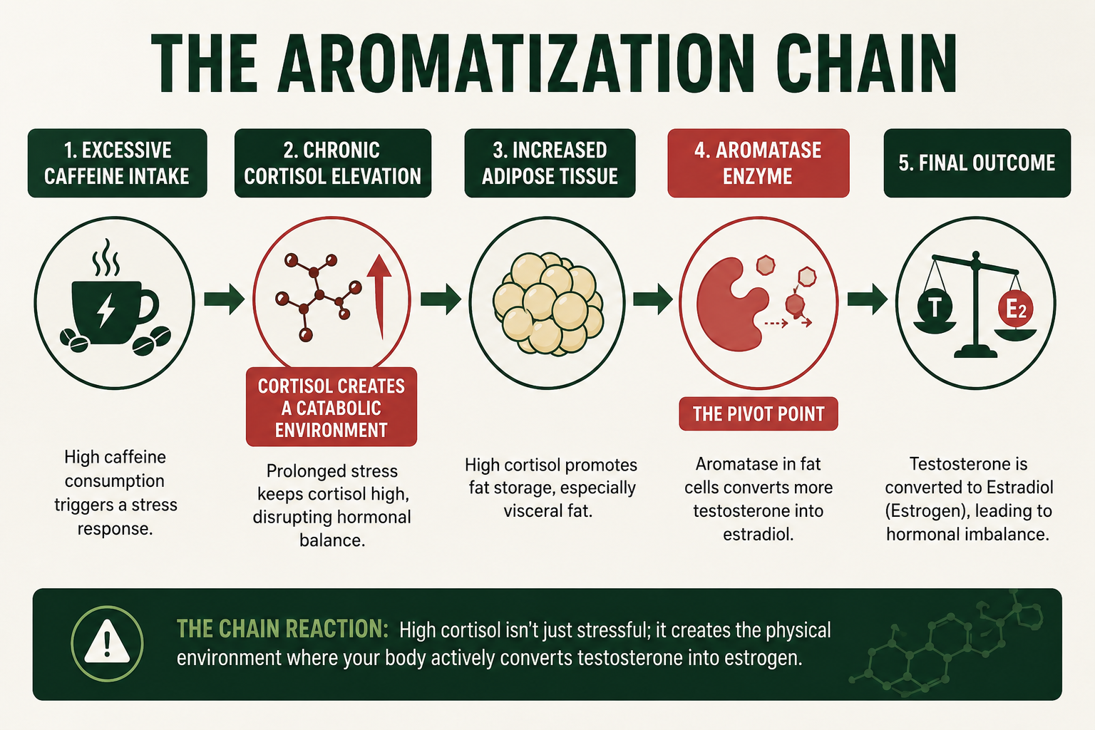 The Aromatization Chain
