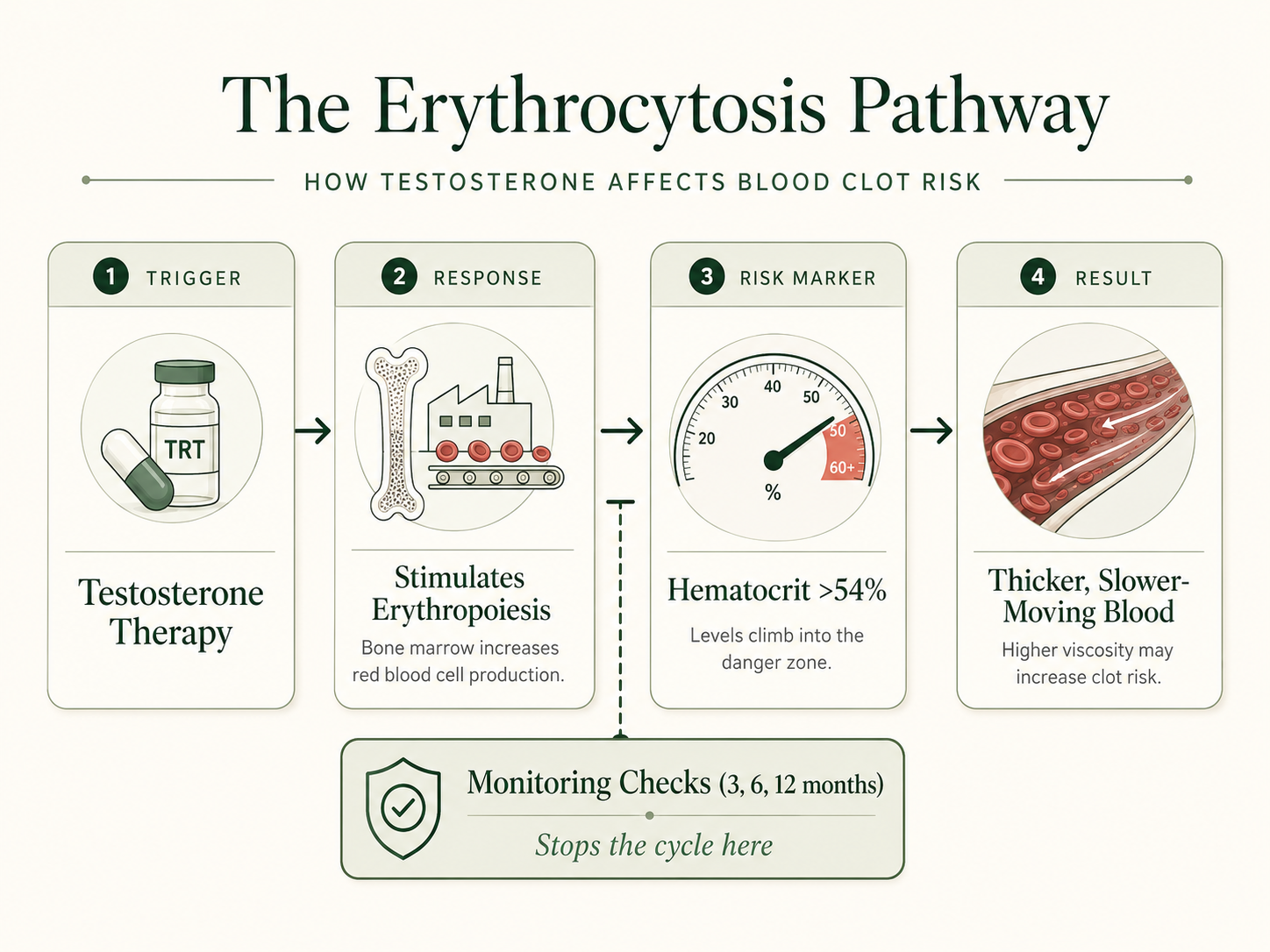 Erythrocytosis Pathway How It Works Visual