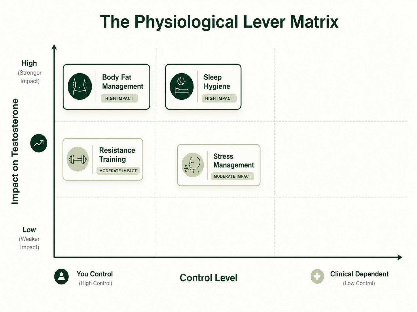 Physiological Lever